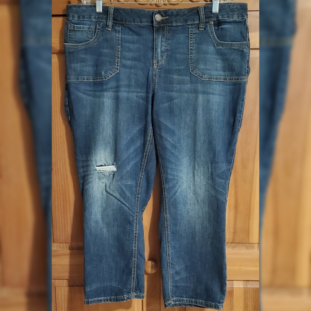 Lane Bryant Denim Capri